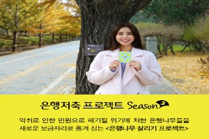 SBI저축은행, 암은행나무 살리는 '은행 저축 프로젝트' 3년째 이어가