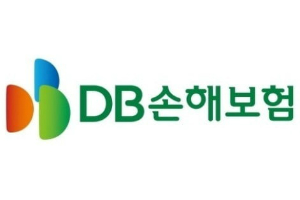 DB손해보험 신용대출 연말까지 중단, 가계대출 총량관리 방침 따라  