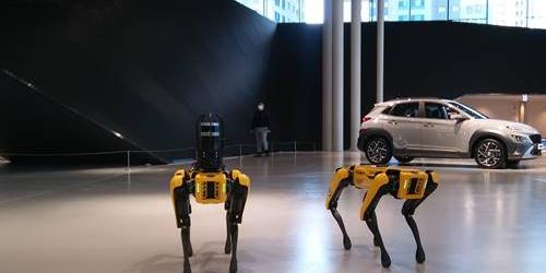 [현장] 보스턴다이내믹스 개 로봇, 현대차가 투자한 이유를 보여주다