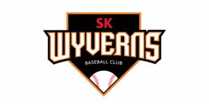 프로야구단 SK와이번스 이마트에 매각 추진, SK텔레콤 