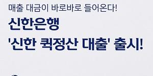 신한은행, 자영업자 온라인쇼핑몰 대금 미리 정산하는 대출상품 내놔 