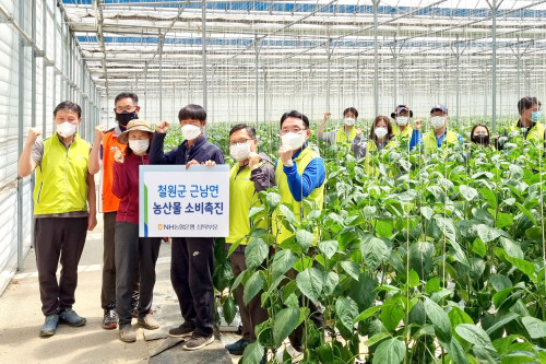 NH농협은행 임직원, 강원도 철원에서 영농철 농가 일손돕기 봉사활동