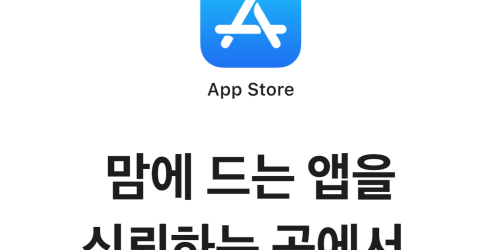 애플 한국의 인앱결제 강제 금지법에 백기, 세계 최초 제3자 결제 허용