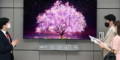 LG전자 올레드TV 크기 키워, 대형TV시장에서 삼성전자 아성 공략