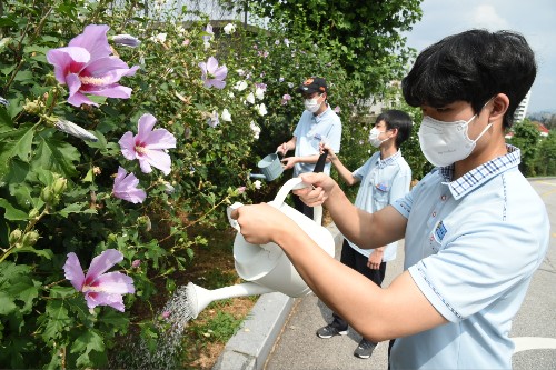 LG상록재단, 전국 학교 1천 곳에 무궁화 5천 그루 무상보급