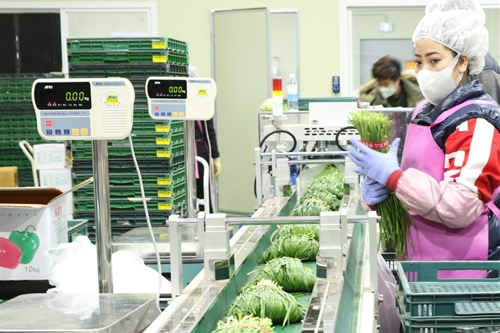 CJ프레시웨이, 대형식자재마트에 공급하는 농산물 29종으로 늘려