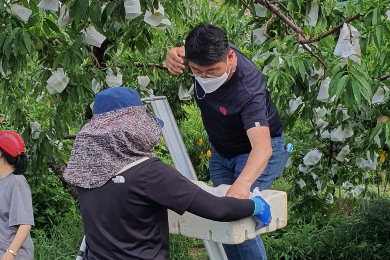 롯데마트 로컬푸드와 국산품종 제품 판매 확대, 현장지도 강화하기로