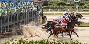 마사회 전국 경마장 고객 입장 재개, 접종 완료자와 음성 확인자만 가능