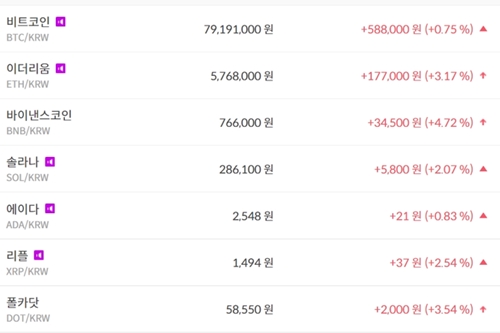 비트코인 7919만 원대로 올라, 가상화폐 시세 거의 다 상승 