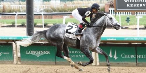 마사회 우수 경주마 생산사업 수확 눈앞, 국내 말산업 회복 더 '절실'