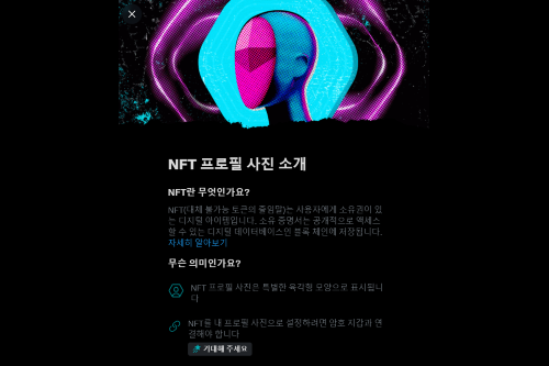 트위터 프로필 사진 NFT로 설정 가능, 유료구독자 대상 서비스