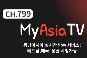 KT스카이라이프 아시아 국가 현지방송 서비스 내놔, 이용료 월 2200원 