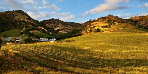 신세계그룹 미국 와인 양조장 3천억에 인수, 와인전문가 정용진 적극 