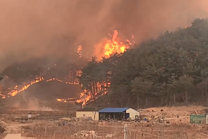 울진 산불 심각단계·소방동원령 1호 발령, 문재인 "조기 진화 전력"