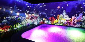 신세계건설 레저부문, 스타필드 고양점에 체험형 공간 매직플로우 개장