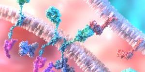 GC셀 T세포림프종 세포치료제 후보물질 발굴, “새로운 치료 옵션”