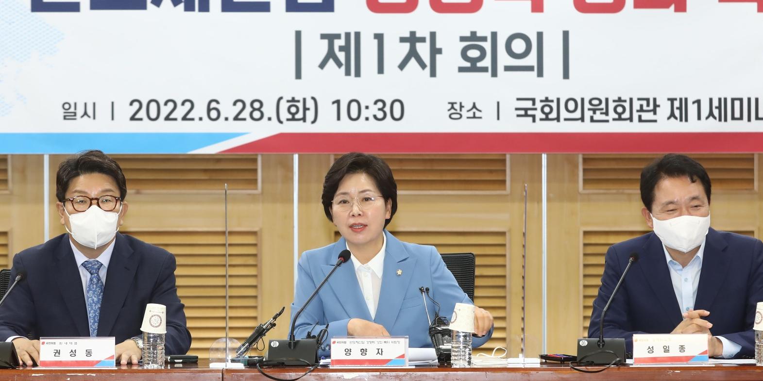 양향자 여당 반도체 특위 위원장 맡아, 민주당 떠나 국민의힘 입당하나