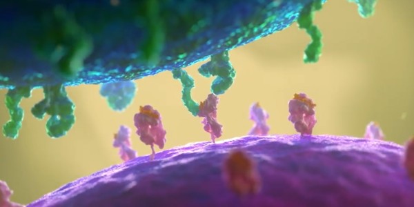 mRNA 백신 NFT 가치 미술품 못지 않네, 크리스티 경매서 3억에 낙찰