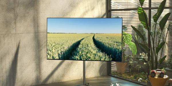 대만 시장조사기관 “삼성전자 LG전자 올해 TV 출하량 8~11% 감소 예상”