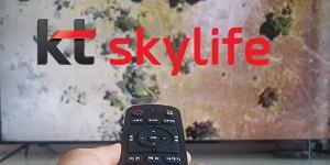 KT스카이라이프 2분기 매출 45% 급증, HCN 인수에 광고매출도 늘어