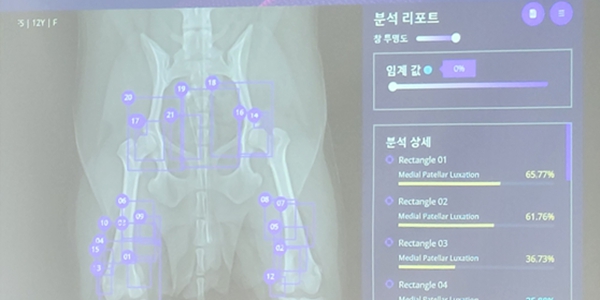 ‘AI서비스 컴퍼니’ 선언한 SK텔레콤, 반려동물사업으로 수익화 물꼬 트나