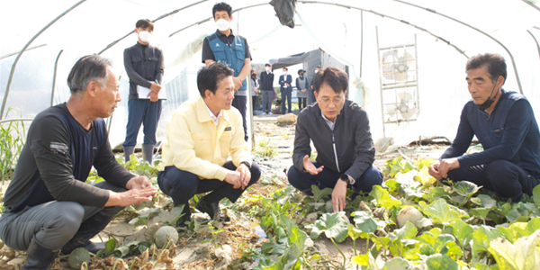 NH농협금융 태풍 힌남노 피해민 금융지원, 손병환 “모든 계열사가 협조”
