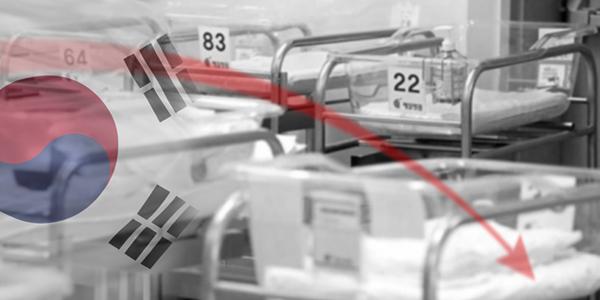 블룸버그가 본 한국 출산율 저하 원인, 교육비 경력단절 젠더갈등 그리고