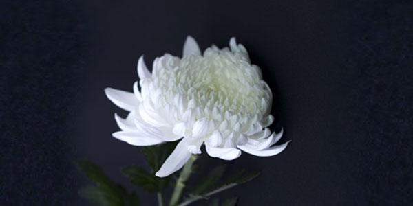 유통업계 성수기 행사 취소하거나 축소, 이태원 참사에 '조용한 연말'로