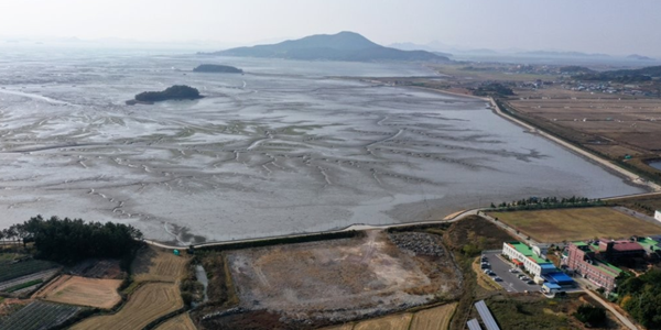 한국 갯벌의 탄소 흡수량 승용차 11만 대 맞먹어, "블루카본 인정돼야"