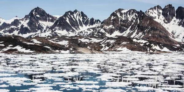 기후이니셔티브 "2050년 여름엔 지구의 모든 얼음지역이 사라진다"  	