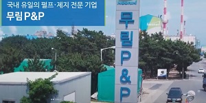 제지주 장중 강세, 일회용품 사용제한 확대에 월드컵 특수 기대감 더해져