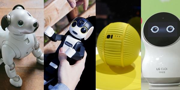 일본 파나소닉 ‘반려로봇’ 출시, 삼성 LG에 전자제품 밀리자 틈새 노린다