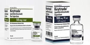 의약품 매출 최강자 키트루다 후광 덕본다, 제약사 병용요법 연구 활발