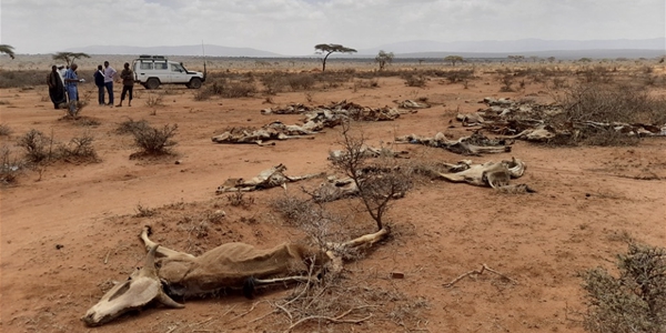 기후변화가 아프리카 가뭄 발생 확률 100배 높였다, WWA 연구결과