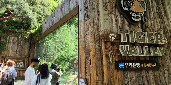 우리은행 에버랜드에 혁신점포 개설, 멸종위기 한국 호랑이 후원 협약도