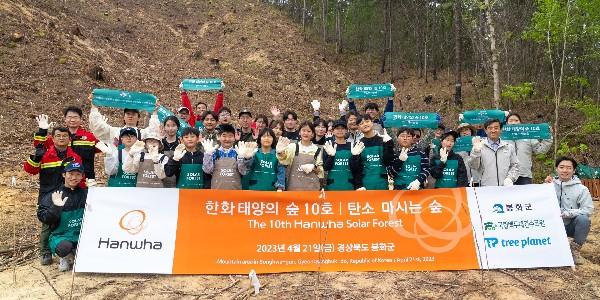 한화그룹 산불 피해 본 봉화군에 ‘태양의 숲’, 올해로 12년째 여의도 5배 숲 조성