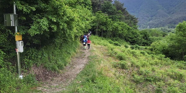 [체험기] 옥스팜 트레일워커, 무박 100km 걷기로 깨달은 작은 희로애락