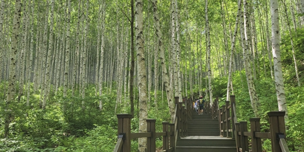 [체험기] 옥스팜 트레일워커, 무박 100km 걷기로 깨달은 작은 희로애락