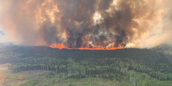 가뭄으로 불타는 캐나다와 러시아 삼림, 이산화탄소 배출 우려 커져