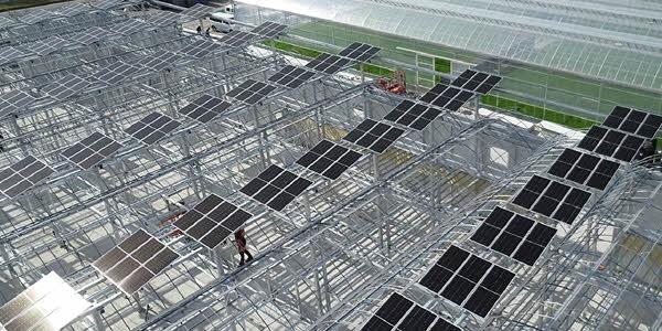 한화솔루션 농협과 국내 최초 ‘태양광 스마트팜’ 공개, 기후변화 대응 목표