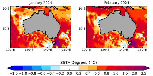 호주 앞바다 수온 계측 가능 수치 넘어 상승, 인근 생태계와 어민 피해 예상