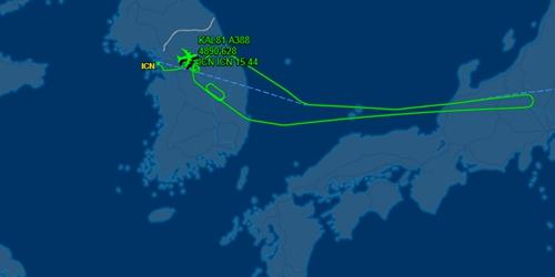 대한항공 뉴욕행 여객기 착륙장치 결함으로 회항, 대체편 오후 5시 출발