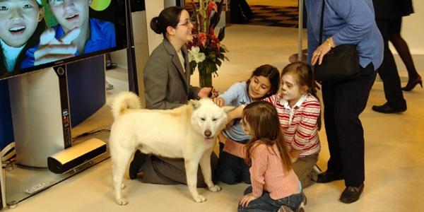 삼성 이건희 선대회장 남다른 동물사랑, 진돗개 순종 보존 사업으로 이어져