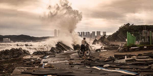 WMO 2024년 기상달력에 한국 사진도 수록, 힌남노 피해와 폭우 뚫는 버스