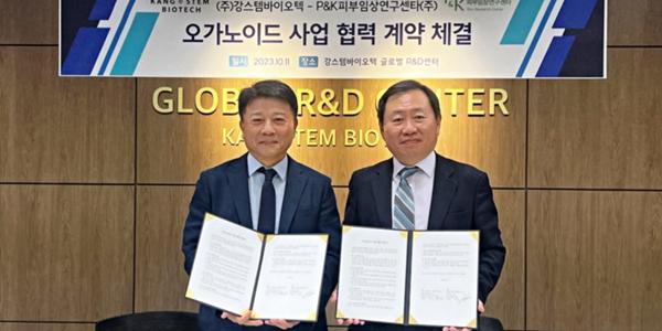 강스템바이오텍, P&K와 화장품분야에서 피부 오가노이드 상업화 추진
