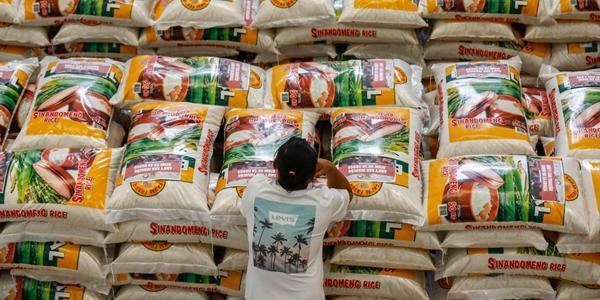 2023년 포도 생산 7% 감소, 포브스 기후변화에 생산 줄어든 작물 5종 선정