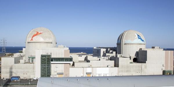 원자력발전 신규 투자 증가세에 우라늄 가격도 급등, 금값 상승폭의 3배