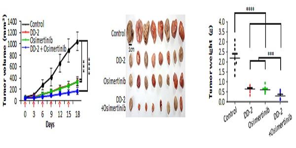 한국기초과학지원연구원 표적 항암제 개발, 기존 항암제 부작용과 내성 줄여 