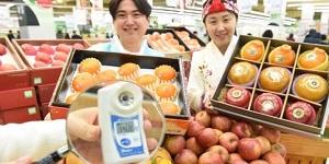 농협 설 명절 맞아 사과·배 최대 47% 할인, 하나로마트에서 2월9일까지