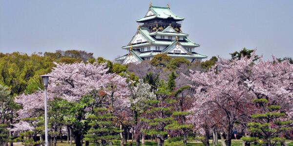하나투어 일본 벚꽃여행 기획전 진행, 오사카 규슈 벚꽃 명소를 한번에  